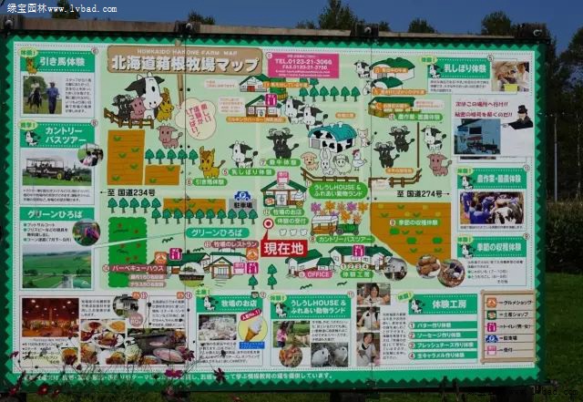 日本景观农业北海道箱根牧场有机牧草