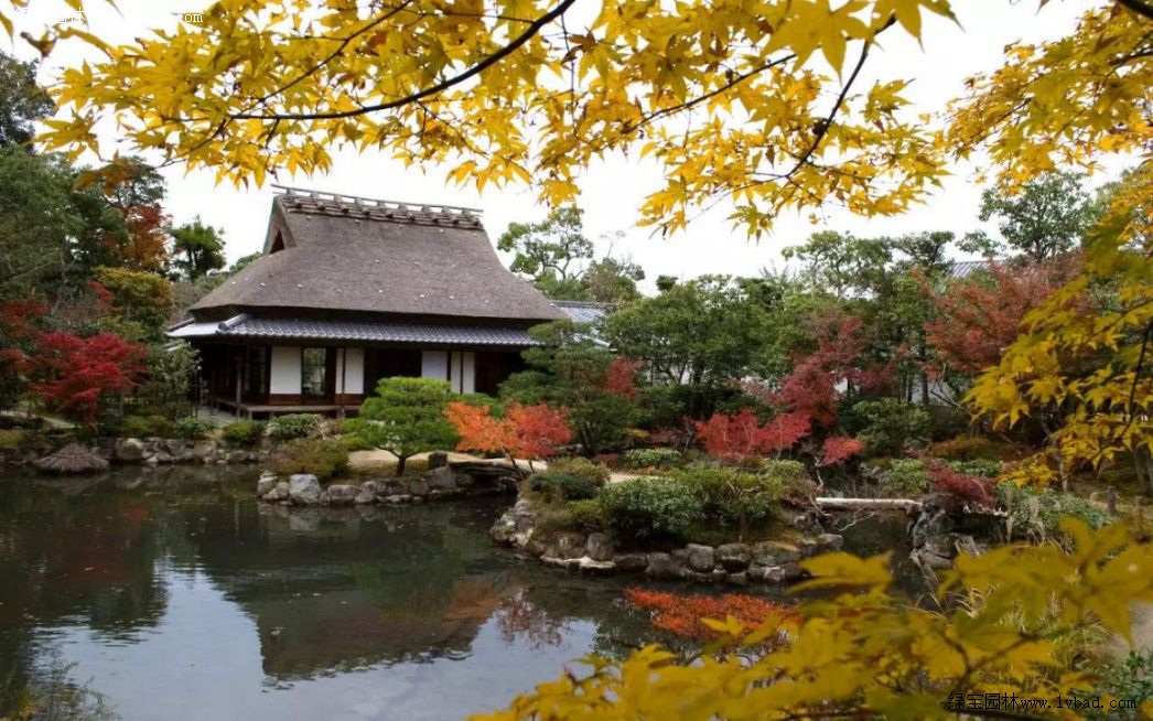 带你一起去看日本传统园林景观 庭园 建筑 艺术等一系列经典项目 绿宝园林网