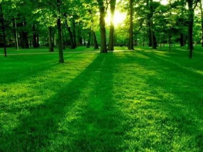 中国园林绿化行业的发展现状及前景分析