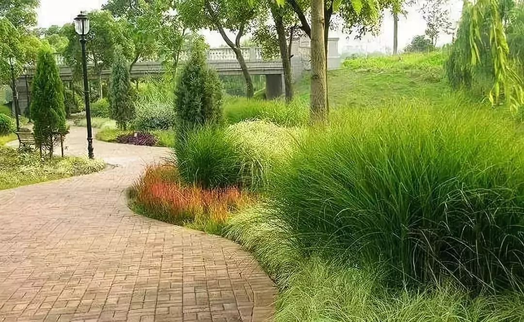 不知道哪些植物可以用到北方城市,对于观赏草的耐寒性有一定的想法