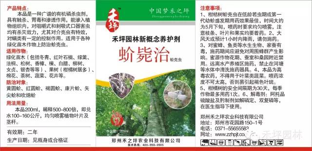 鸢尾的种植方法