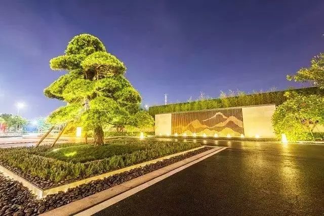 关于孤植、列植,这是我见过最美的诠释!-绿宝园林网