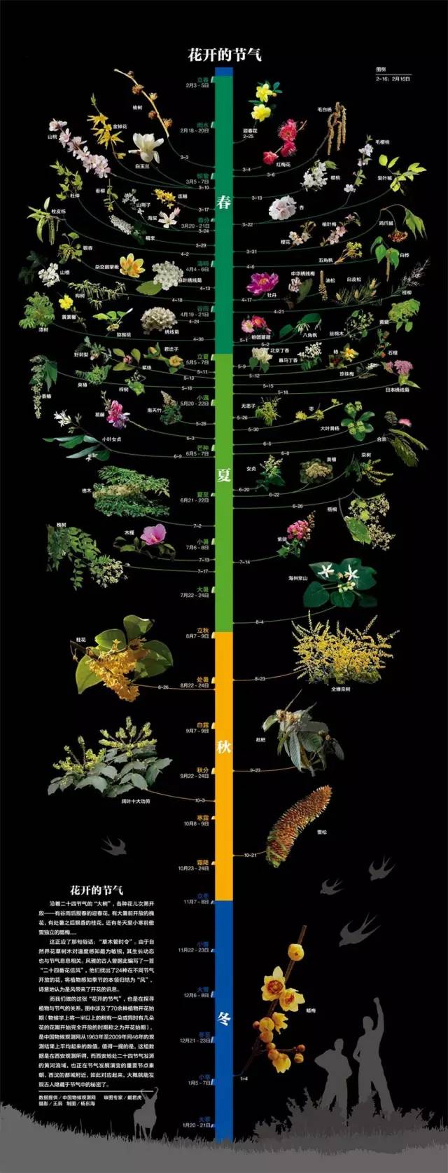 植物时令巧搭配绿地四季有美景