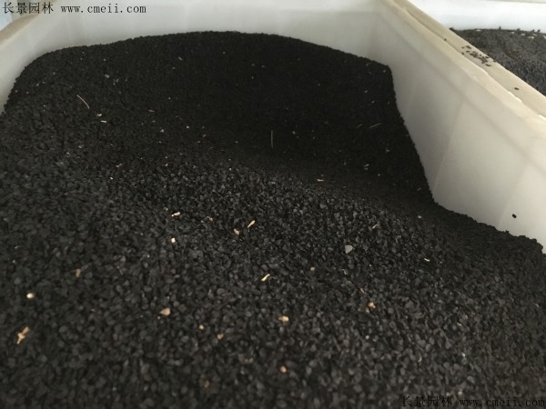 <a href='https://www.lvbad.com/caohuazhongzi/1039.html' target='_blank'>大花葱</a><a href='https://www.lvbad.com/' target='_blank'>种子</a>图片 <a href='https://www.lvbad.com/caohuazhongzi/1039.html' target='_blank'>大花葱种子</a>图片