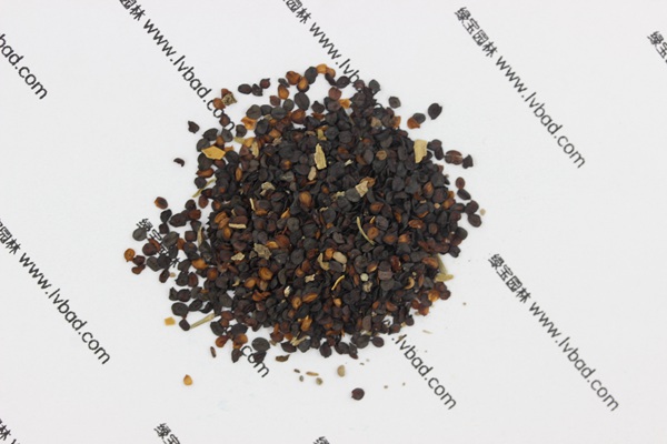 <a href='https://www.lvbad.com/caohuazhongzi/1574.html' target='_blank'>康乃馨</a><a href='https://www.lvbad.com/' target='_blank'>种子</a>