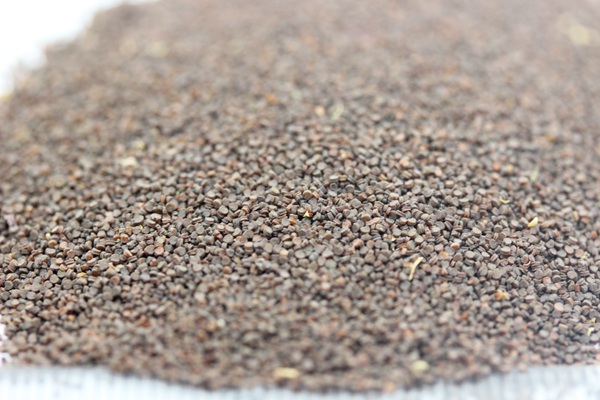 <a href='https://www.lvbad.com/caohuazhongzi/1053.html' target='_blank'>高雪轮种子</a>