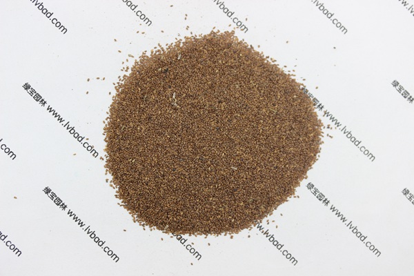 <a href='https://www.lvbad.com/caohuazhongzi/1049.html' target='_blank'>风铃花</a><a href='https://www.lvbad.com/' target='_blank'>种子</a>