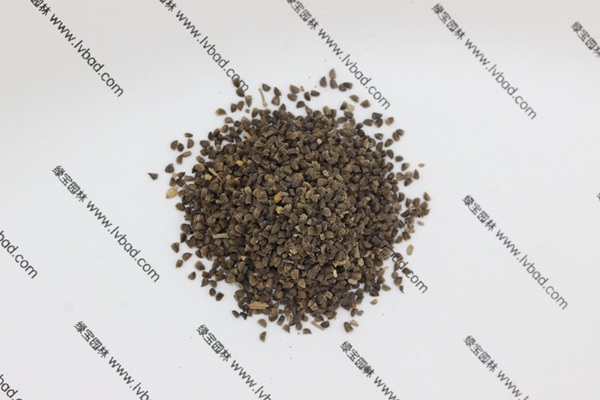 <a href='https://www.lvbad.com/caohuazhongzi/1045.html' target='_blank'>飞燕草</a>种子需要催芽吗