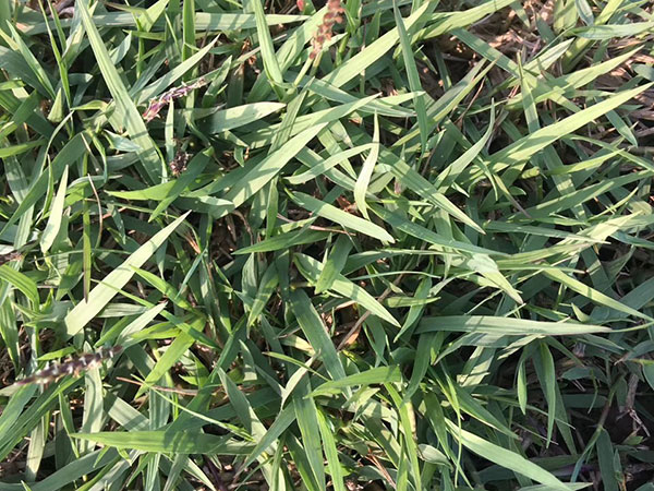 ç»ç¼è