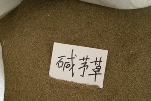 堿茅草