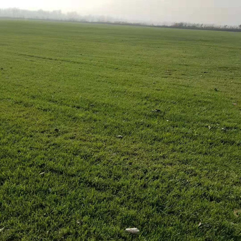 æå²­è