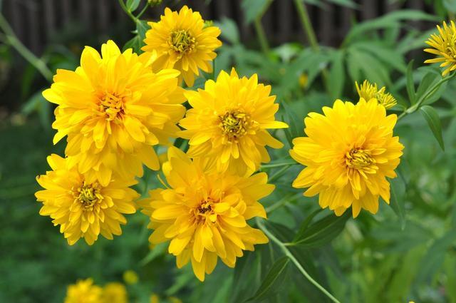 å³äºéåèï¼éåèçåºç¨