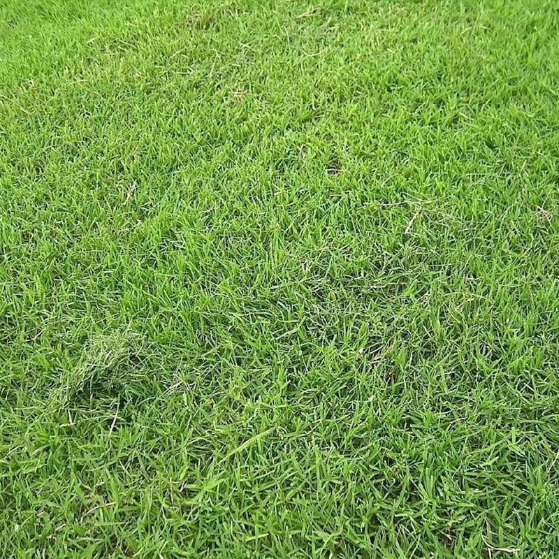å°æ¹¾è