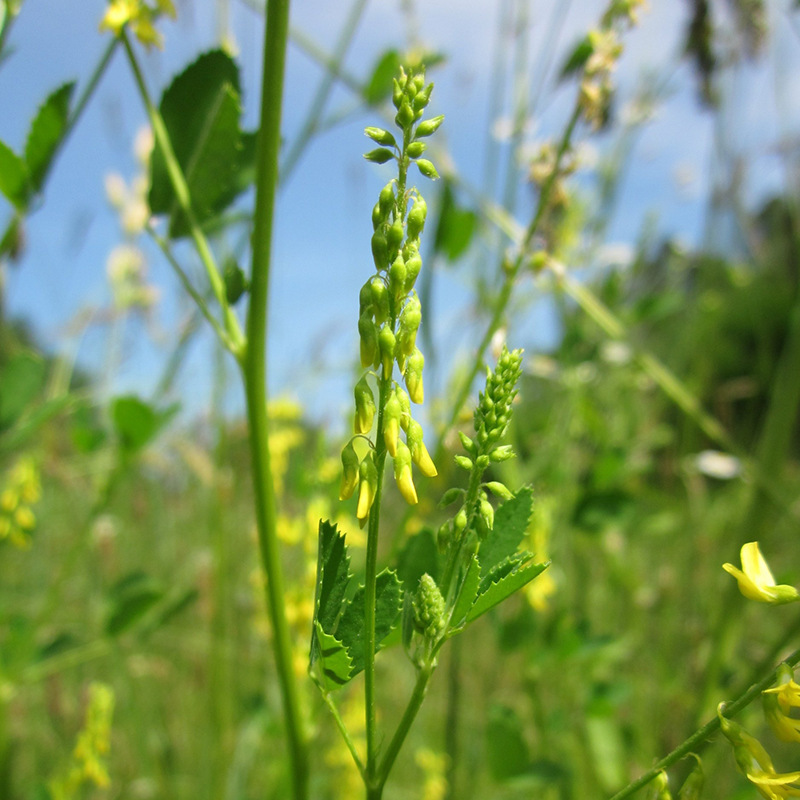 Ã¨ÂÂÃ¦ÂÂ¨Ã¦Â¨Â¨Ã§ÂÂÃ§Â§ÂÃ¦Â¤ÂÃ¦ÂÂÃ¦ÂÂ¯Ã¥ÂÂÃ¦Â&nbsp;Â½Ã¥ÂÂ¹Ã¦ÂÂ¹Ã¦Â³Â