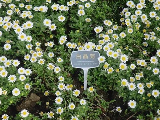 微信图片_20200522091923.jpg
