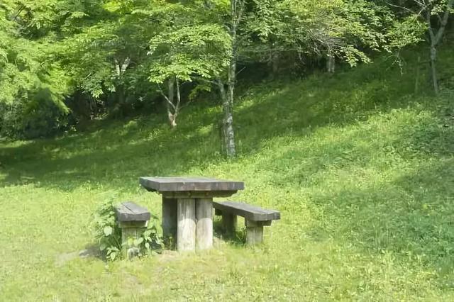 草坪有哪几种分类你知道吗？