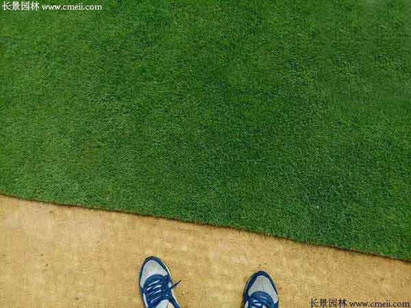 <a href='https://www.lvbad.com/caopingzhongzi/1670.html' target='_blank'>剪股颖种子</a>种植出来的草坪效果