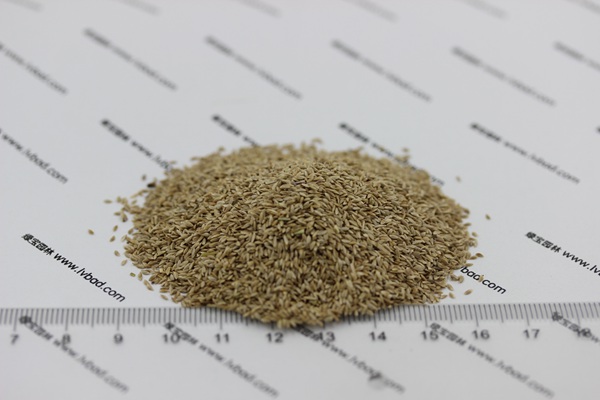 狗牙根草种子一斤价格狗牙根草种子