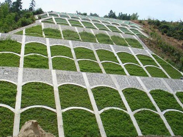 狗牙根如何种植和养护