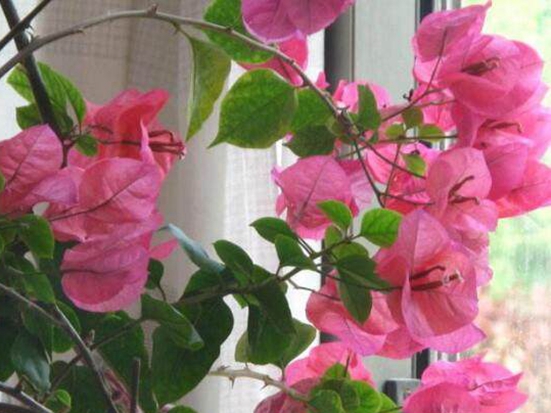 u=1250494519,555364711&fm=173&app=25&f=JPEG.jpg