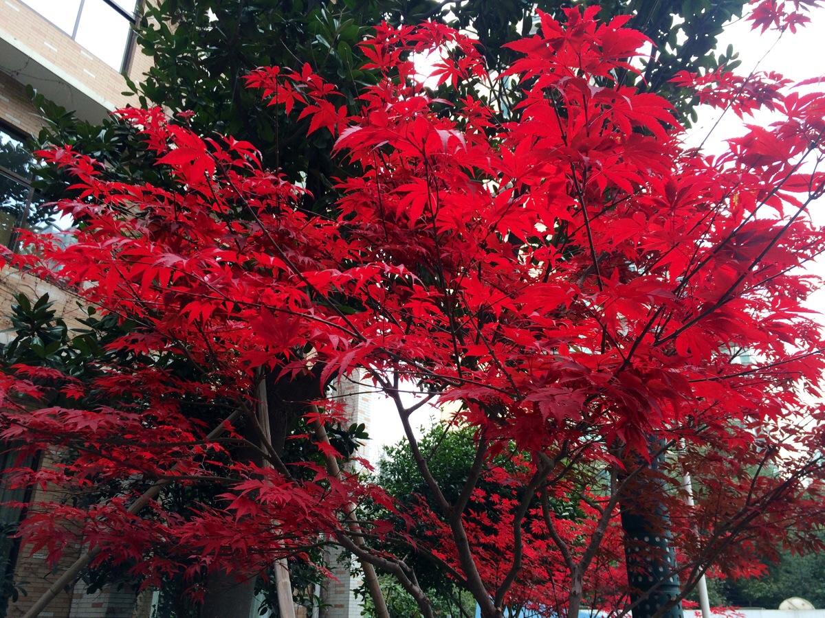 1663411619104887.jpeg