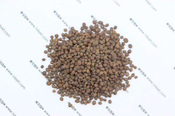 <a href='https://www.lvbad.com/caohuazhongzi/1051.html' target='_blank'>凤仙花种子</a>1.jpg