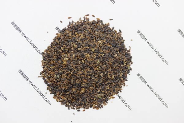 <a href='https://www.lvbad.com/caohuazhongzi/1573.html' target='_blank'>桔梗种子</a>1.jpg