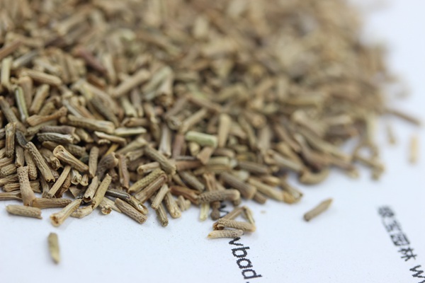 <a href='https://www.lvbad.com/caohuazhongzi/1600.html' target='_blank'>美女樱种子</a>2.jpg