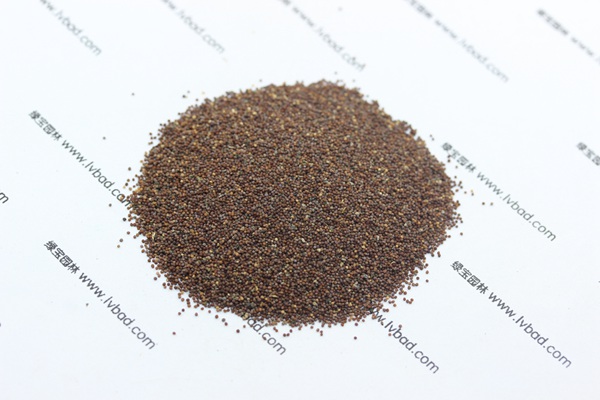 <a href='https://www.lvbad.com/caohuazhongzi/1017.html' target='_blank'>矮牵牛种子</a>5.jpg