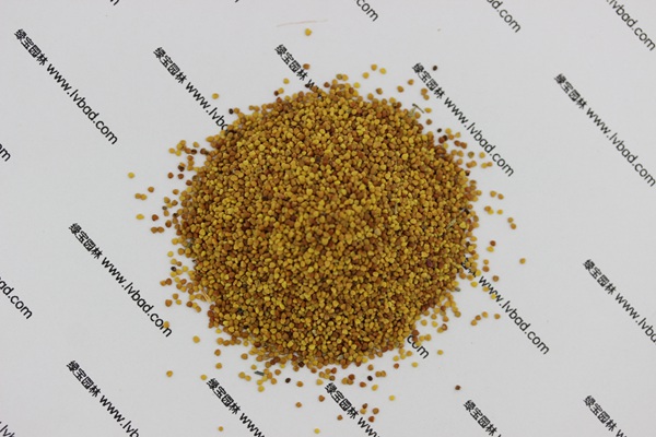 <a href='https://www.lvbad.com/caopingzhongzi/1662.html' target='_blank'>白三叶种子</a>1.jpg