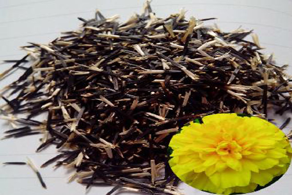 <a href='https://www.lvbad.com/caohuazhongzi/1631.html' target='_blank'>万寿菊种子</a>.jpeg