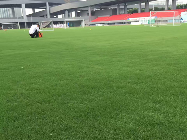 百慕大2.jpg