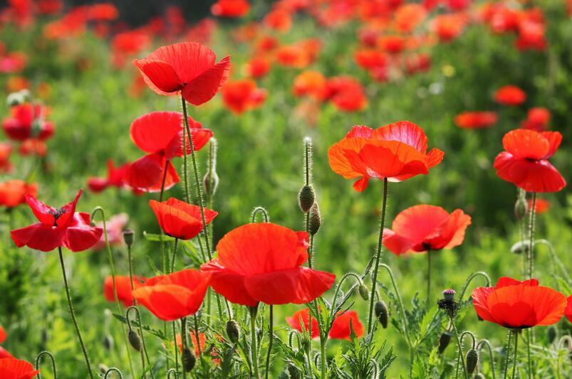 1670326278658909.jpg