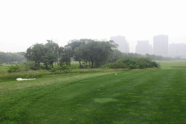 <a href='https://www.lvbad.com/caopingzhongzi/1667.html' target='_blank'>高羊茅</a>4.jpg
