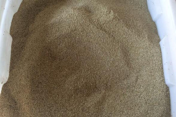 <a href='https://www.lvbad.com/caopingzhongzi/' target='_blank'>草籽</a>2.jpg