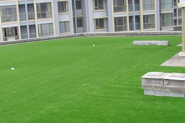 屋顶草坪1.jpg