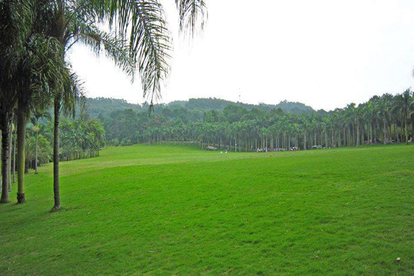 <a href='https://www.lvbad.com/caopingzhongzi/1681.html' target='_blank'>紫羊茅</a>3.jpeg