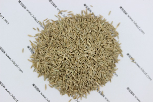 <a href='https://www.lvbad.com/caopingzhongzi/1666.html' target='_blank'>多年生黑麦草种子</a>1.jpg