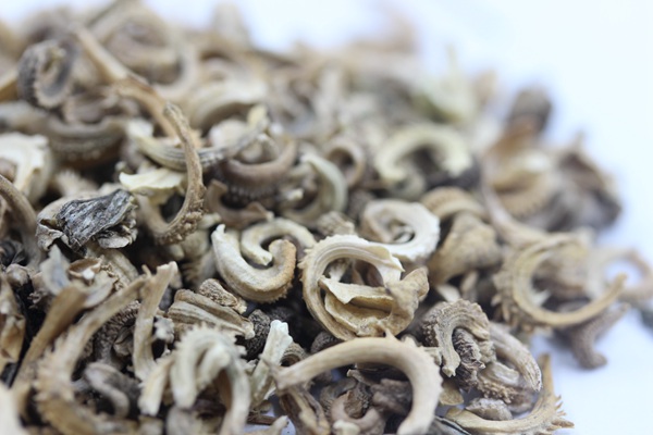 <a href='https://www.lvbad.com/caohuazhongzi/1571.html' target='_blank'>金盏菊种子</a>