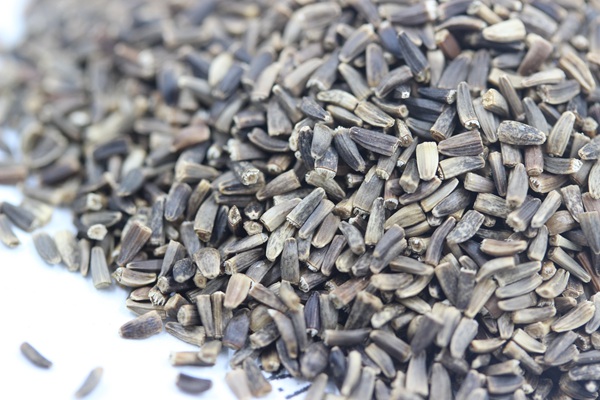 <a href='https://www.lvbad.com/mucaozhongzi/14254.html' target='_blank'>菊苣种子</a>