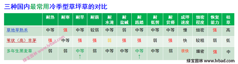 常用冷季型草坪生长特性对比