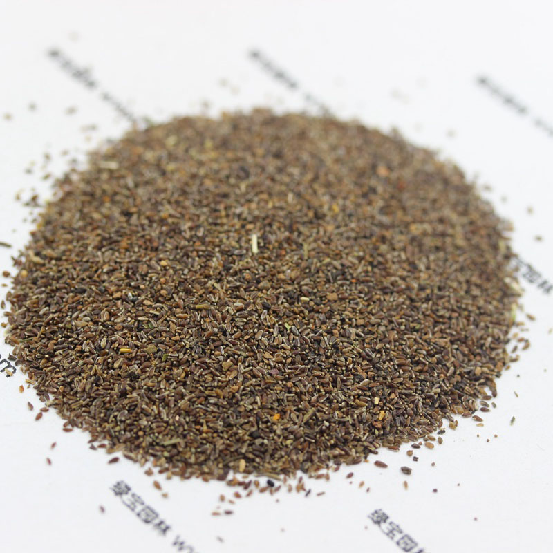 <a href='https://www.lvbad.com/caohuazhongzi/1646.html' target='_blank'>野菊花</a><a href='https://www.lvbad.com/' target='_blank'>种子</a>图片