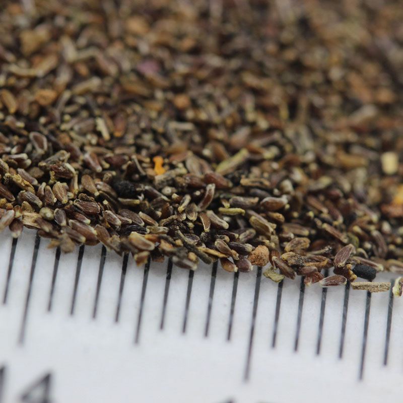 <a href='https://www.lvbad.com/caohuazhongzi/1646.html' target='_blank'>野菊花种子</a>图片