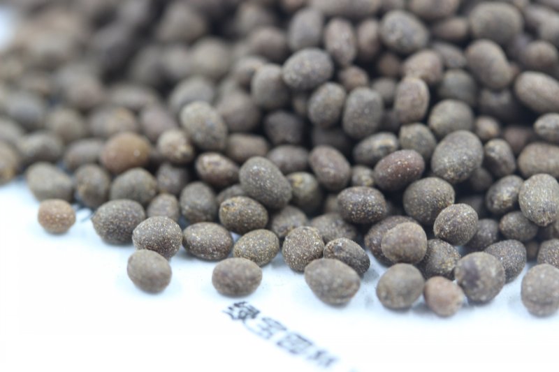 <a href='https://www.lvbad.com/caohuazhongzi/1051.html' target='_blank'>凤仙花种子</a>