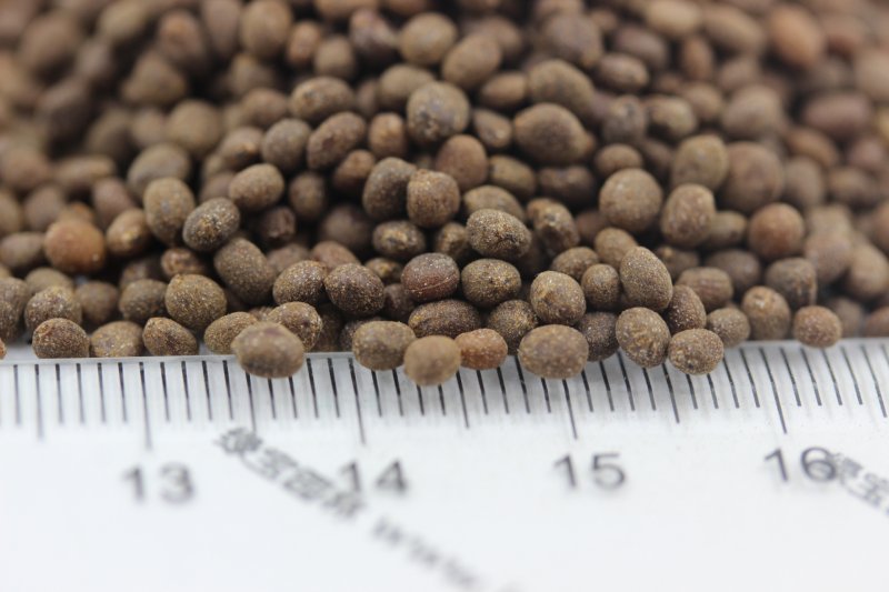 <a href='https://www.lvbad.com/caohuazhongzi/1051.html' target='_blank'>凤仙花</a><a href='https://www.lvbad.com/' target='_blank'>种子</a>