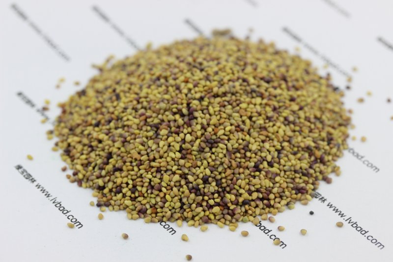 <a href='https://www.lvbad.com/caopingzhongzi/1669.html' target='_blank'>红三叶种子</a>