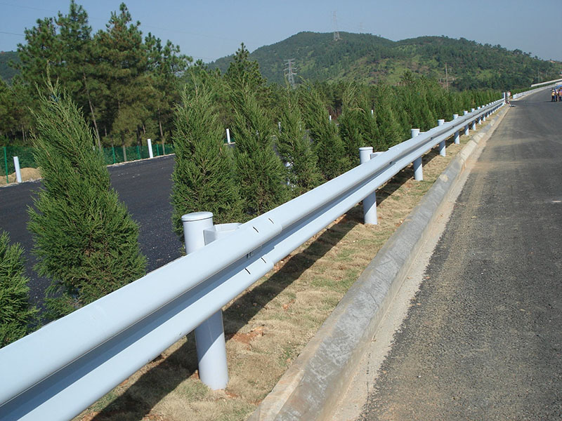 路边植物公路分车带常绿植物