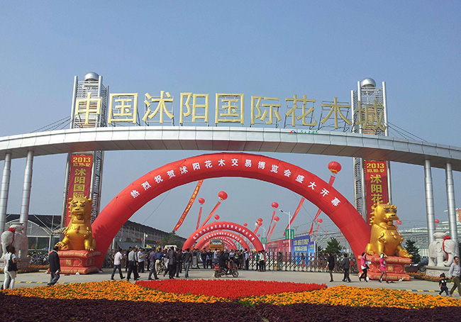 沭阳县国际花木城2012年前后开业新的苗木交易市场