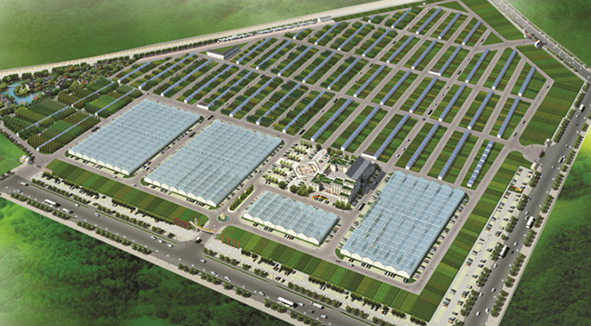 沭阳县华东花木大世界2022年新建的花木交易市场